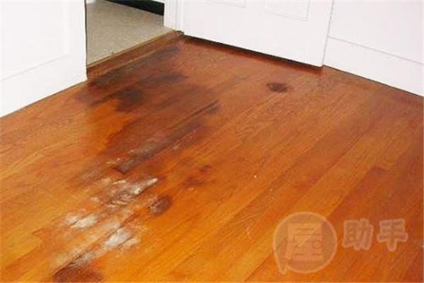 拯救受潮木地板的正确姿势